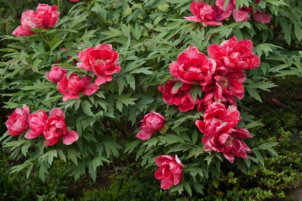 Comment obtenir de l'électricité sur un chantier ?