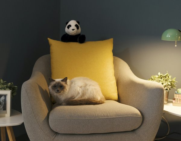 Les avantages d'utiliser une housse de fauteuil relax